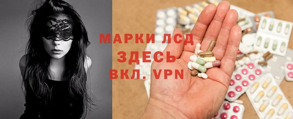 прущие грибы Богородицк