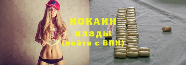 спиды Богданович