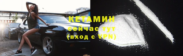 спиды Богданович