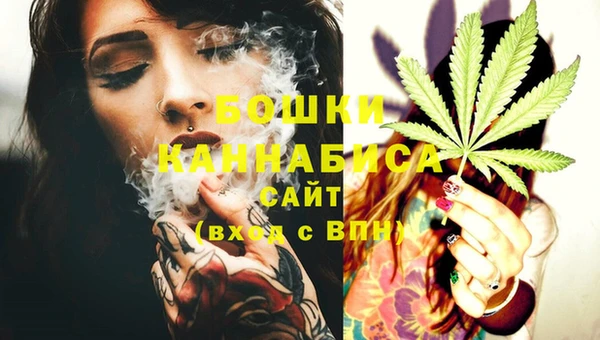 спиды Богданович