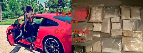 спиды Богданович