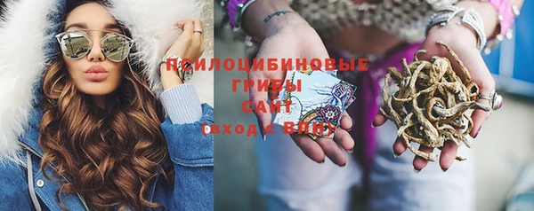 не бодяженный Белокуриха