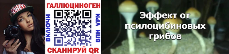 гидра маркетплейс  Очёр  Псилоцибиновые грибы Cubensis 